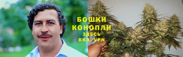 кокаин колумбия Богданович