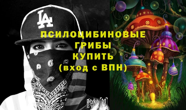 mix Богородицк