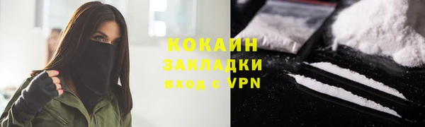 mix Богородицк
