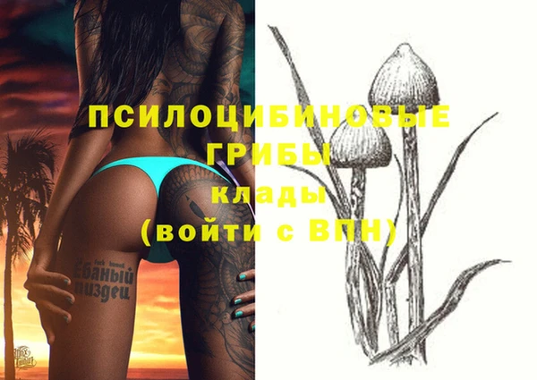 mix Богородицк