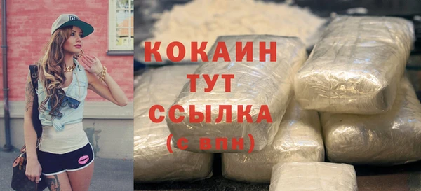 mix Богородицк